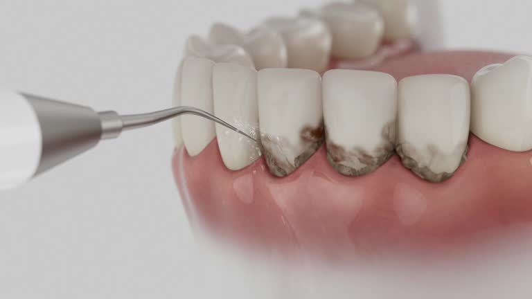 Reliable Dental contractor in Indian Head, MD by Dentist Open Now